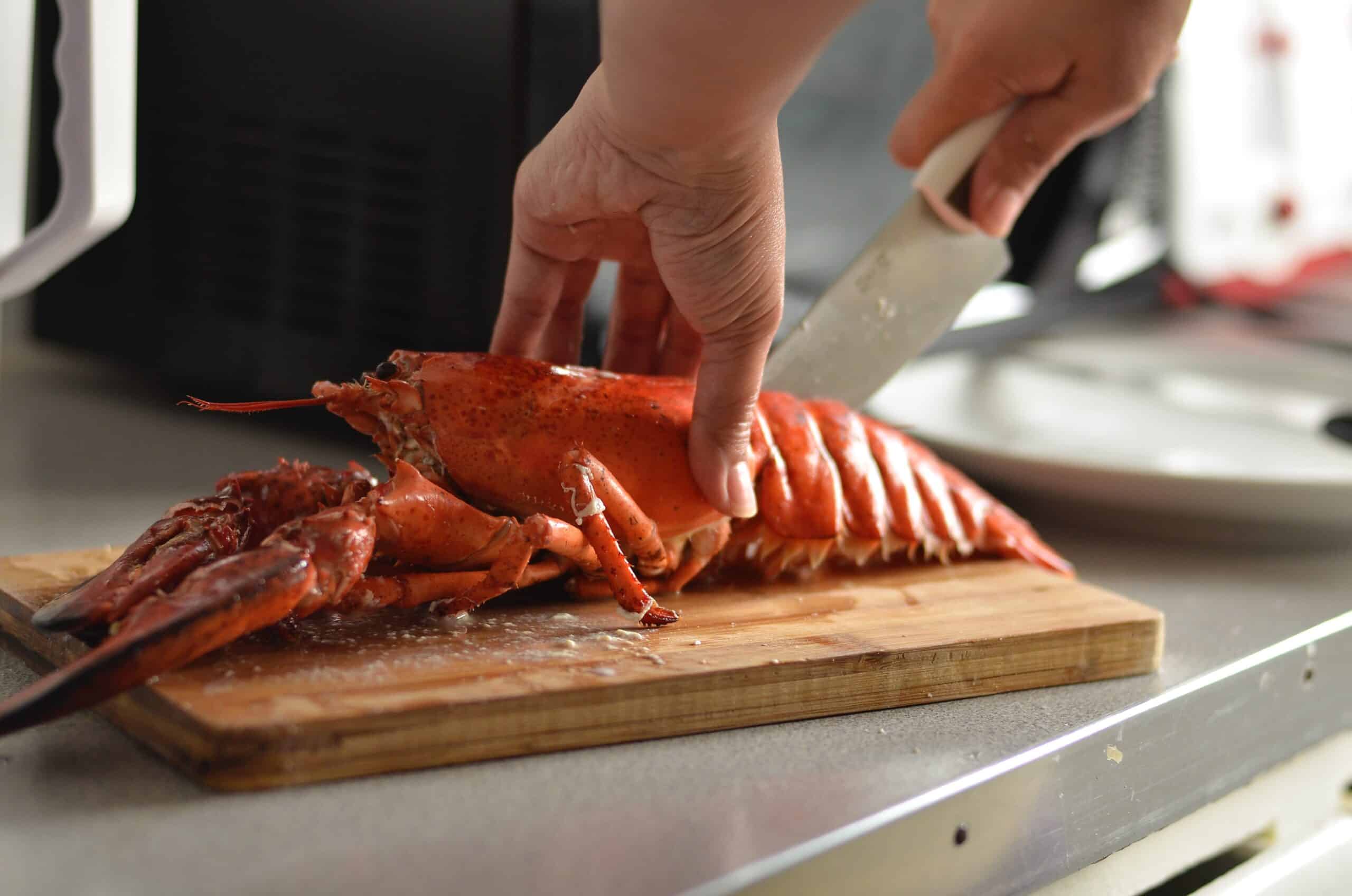 A lobster being cut