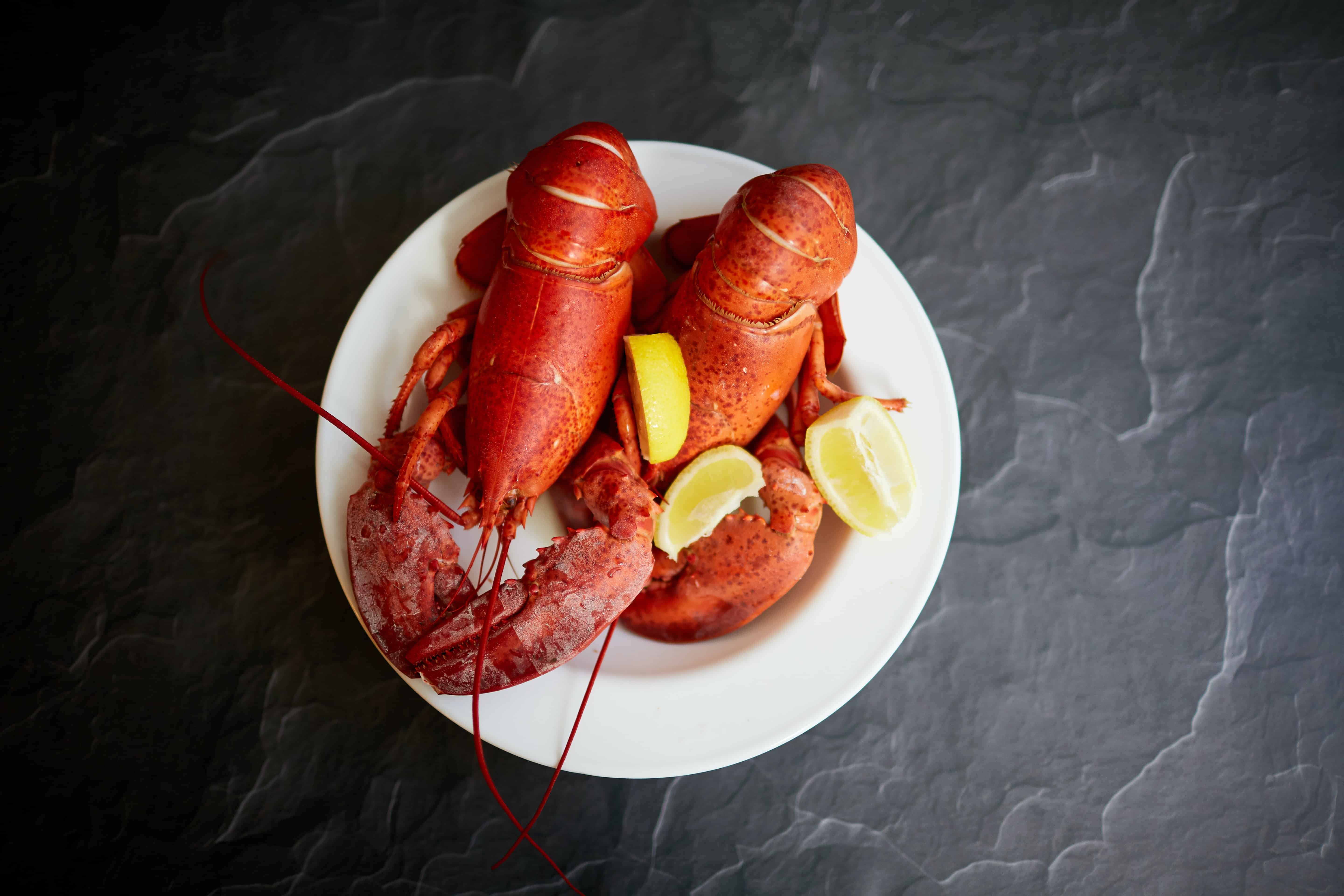 cooked-lobster-on-a-plate
