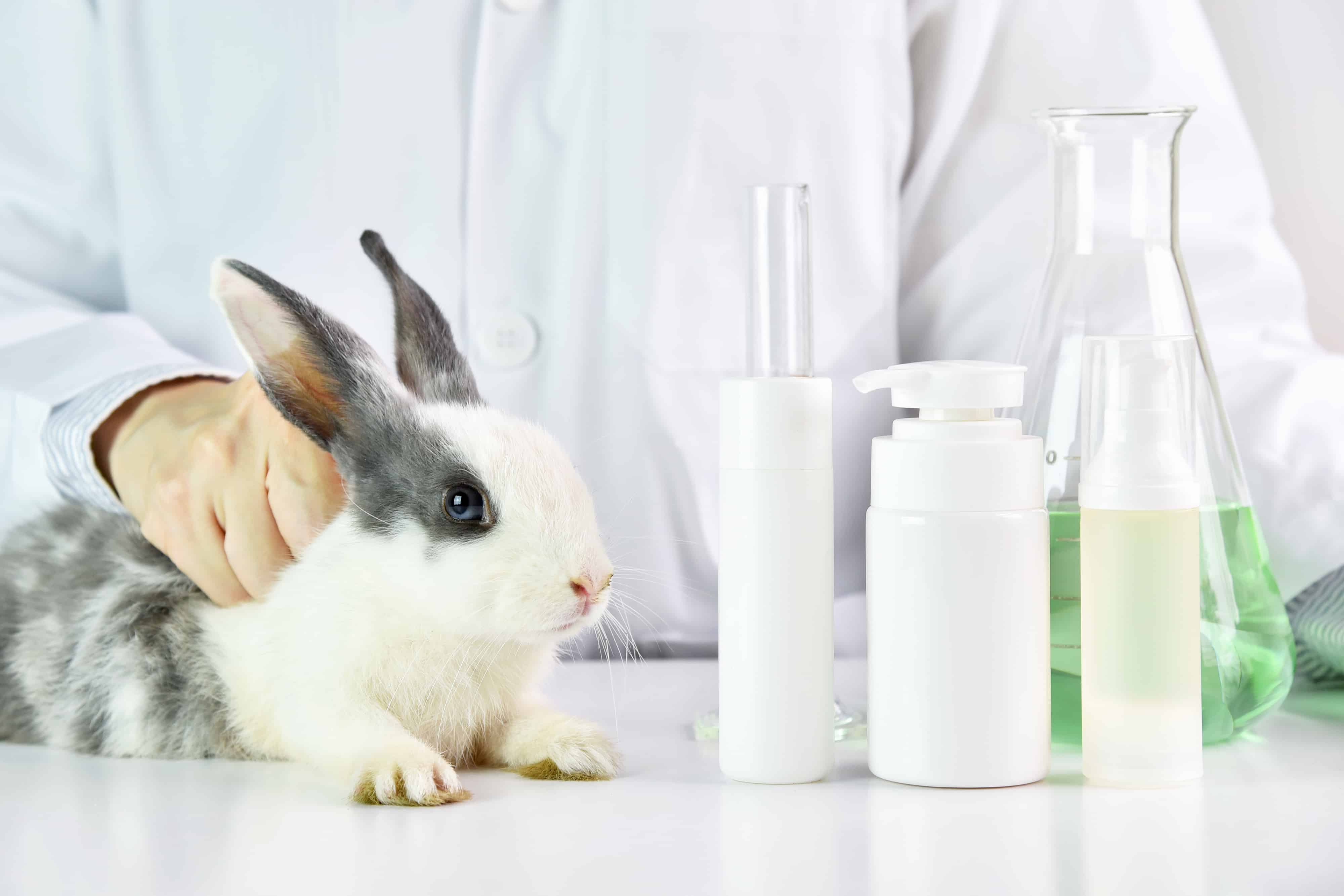 Animal testing in a lab