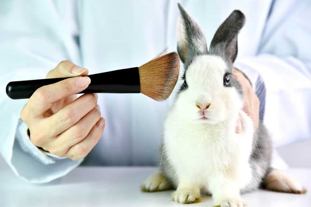 Cruelty-free testing bunny