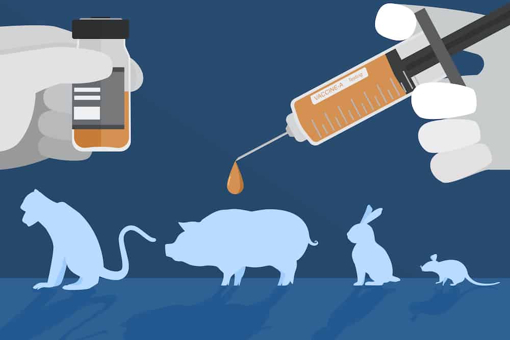 9-interesting-animal-testing-facts-in-china-you-need-to-know-2021