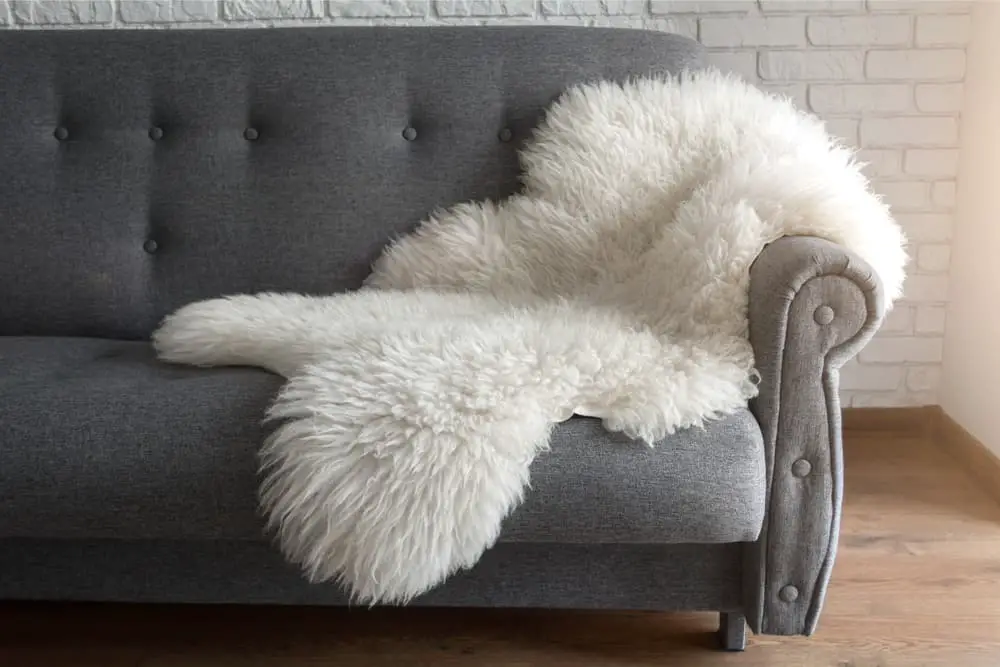 Sheepskin rug on couch