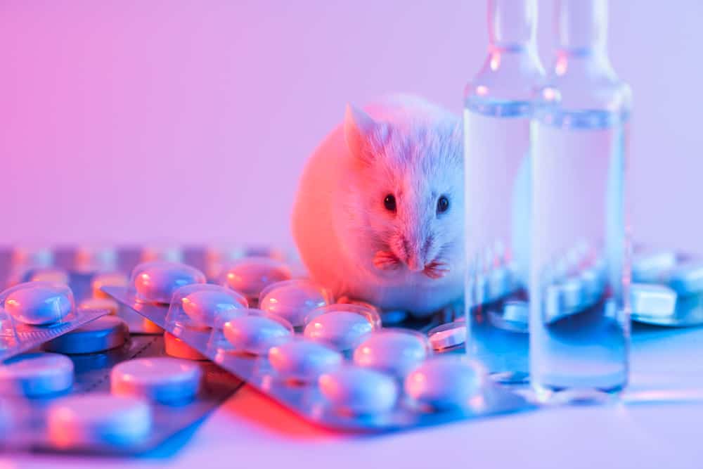 Mouse next to medication and beaker