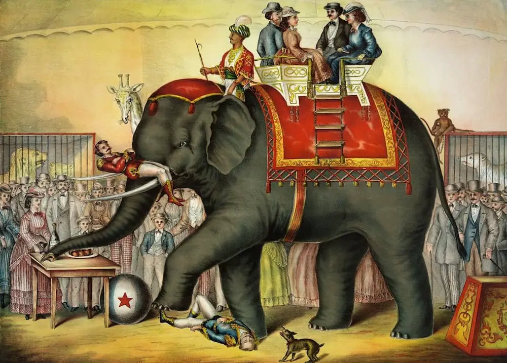 Vintage circus poster with elephant