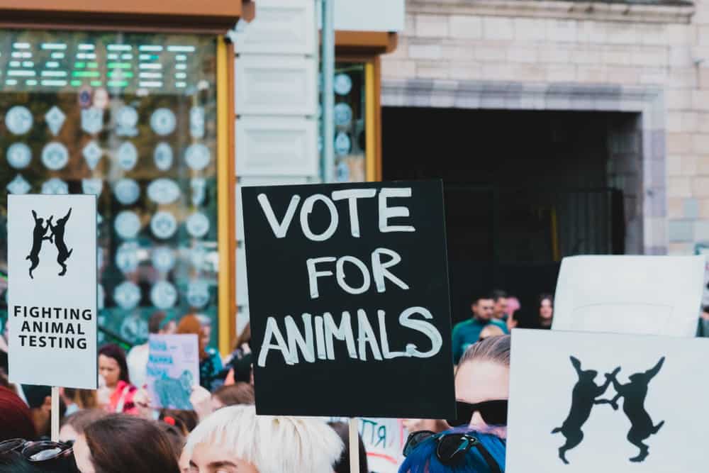 Animal rights activism banner protest