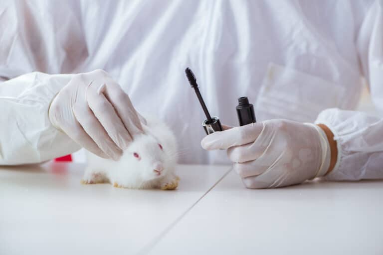10 Facts About Animal Testing You Need to Know (2021) - Cruelty Free Soul