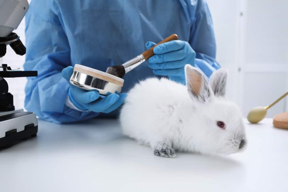 animal-testing-facts-in-cosmetics-you-need-to-know-in-2021-cruelty