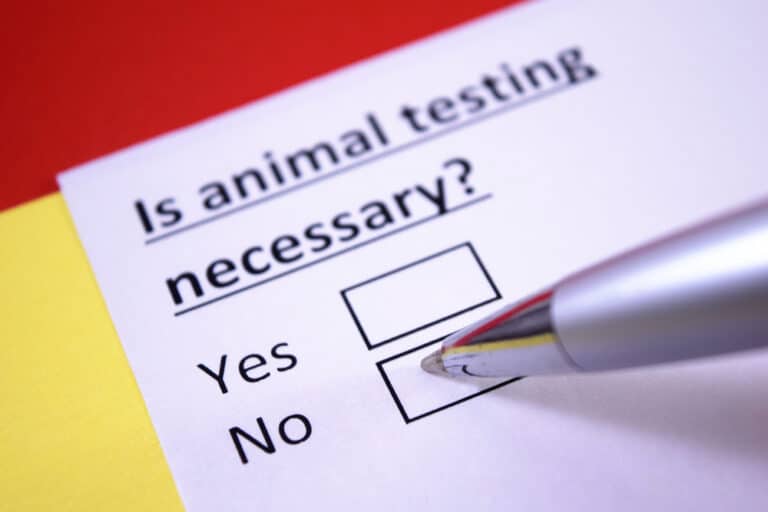 Animal Testing Alternatives (Ultimate Guide) Cruelty Free Soul
